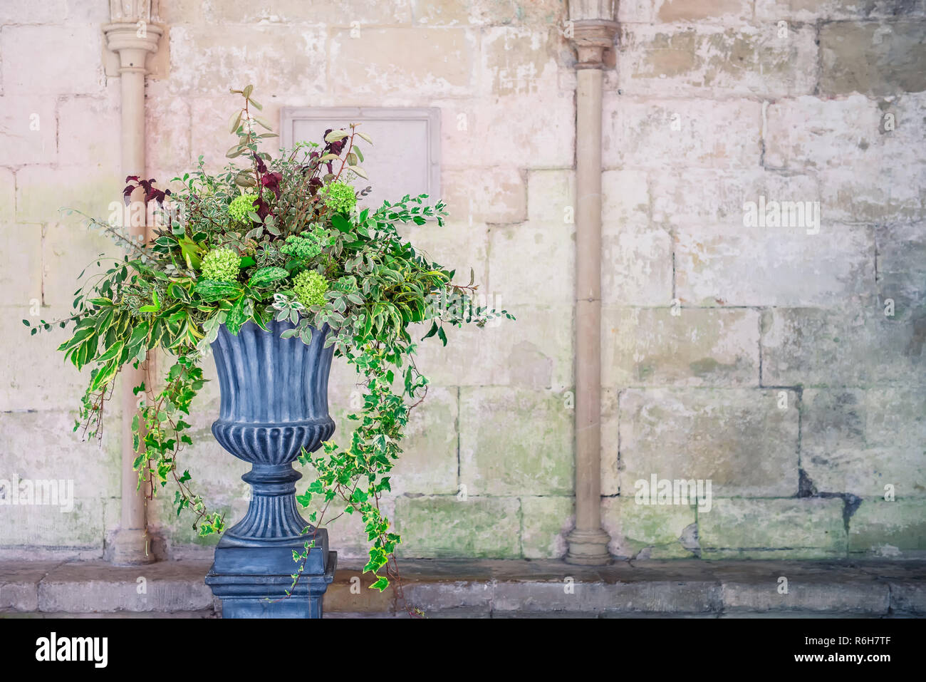 Vaso di pietra piantatrice con fustian fiori verdi e cascata verde edera e foglie. Grigio a ciottoli. Splendido design in parte anteriore del muro medioevale con c Foto Stock