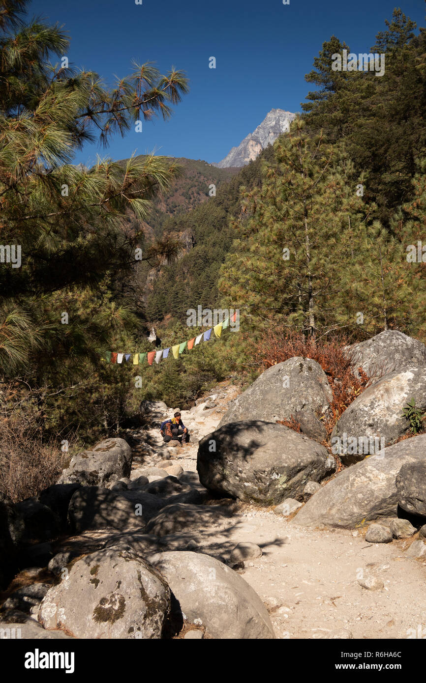 Il Nepal, Jorsale (Thumbug), giapponese walker in appoggio sul sentiero accanto Dudh Khosi fiume a Namche Bazar Foto Stock