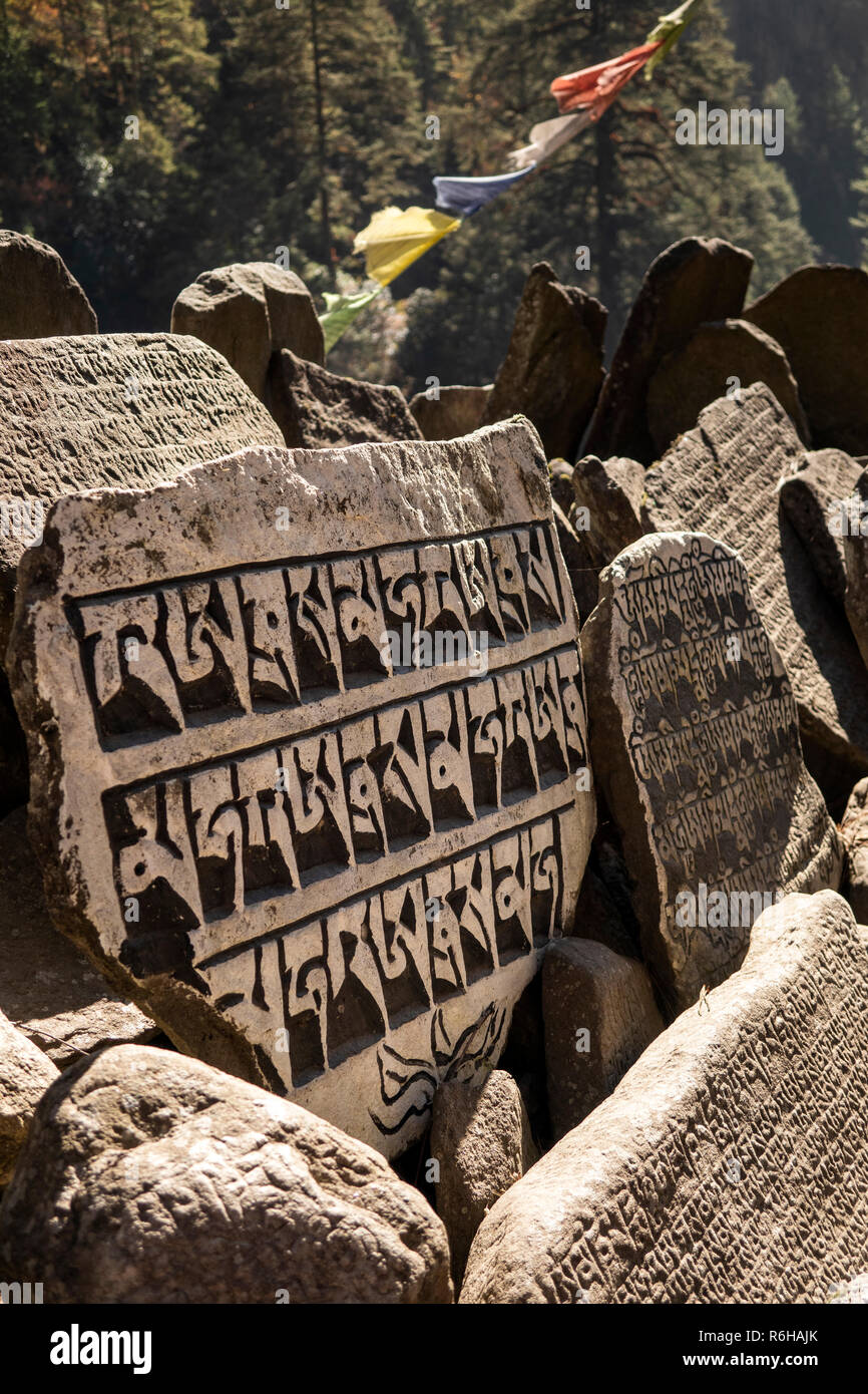 Il Nepal, Jorsale (Thumbug), intagliato e dipinto buddista pietre di mani e bandiere di preghiera Foto Stock