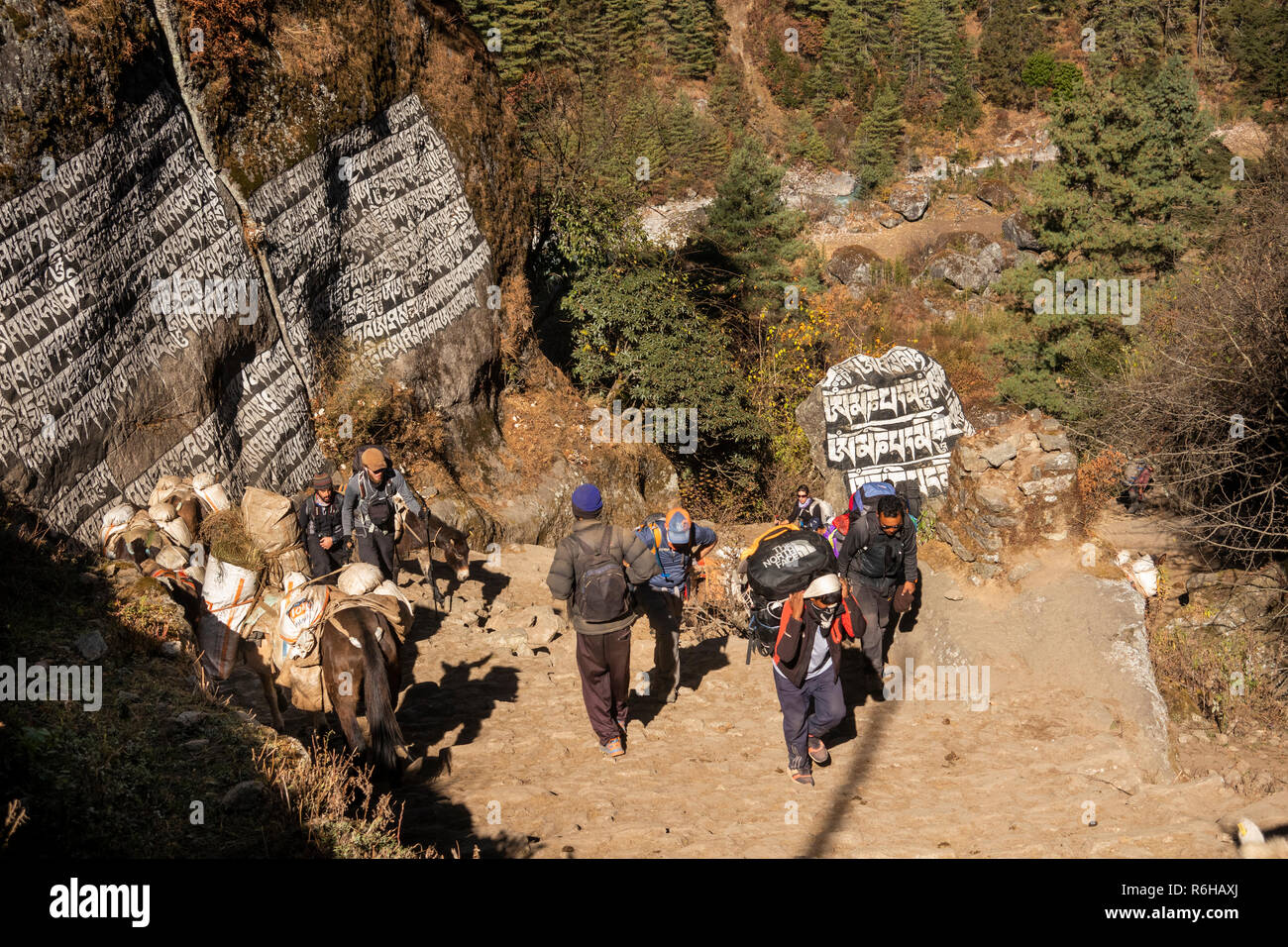 Il Nepal, Monju, (Manjo) grande buddista intagliato mani pietre a fianco ripido percorso di pietra in corrispondenza di estremità nord del villaggio Foto Stock
