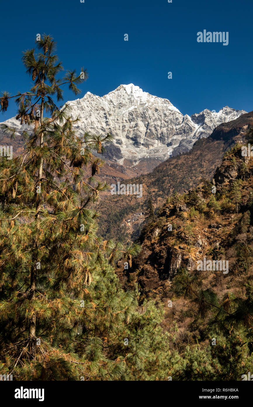 Il Nepal, Phakding, Solo Khumbu regione Mt Kusum Kangkaru e Thado Koshi River Valley Foto Stock