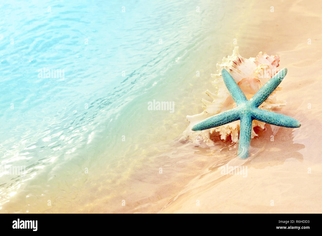 Stella di mare sulla spiaggia d'estate. Estate sfondo. Tropicale sulla spiaggia di sabbia. Foto Stock