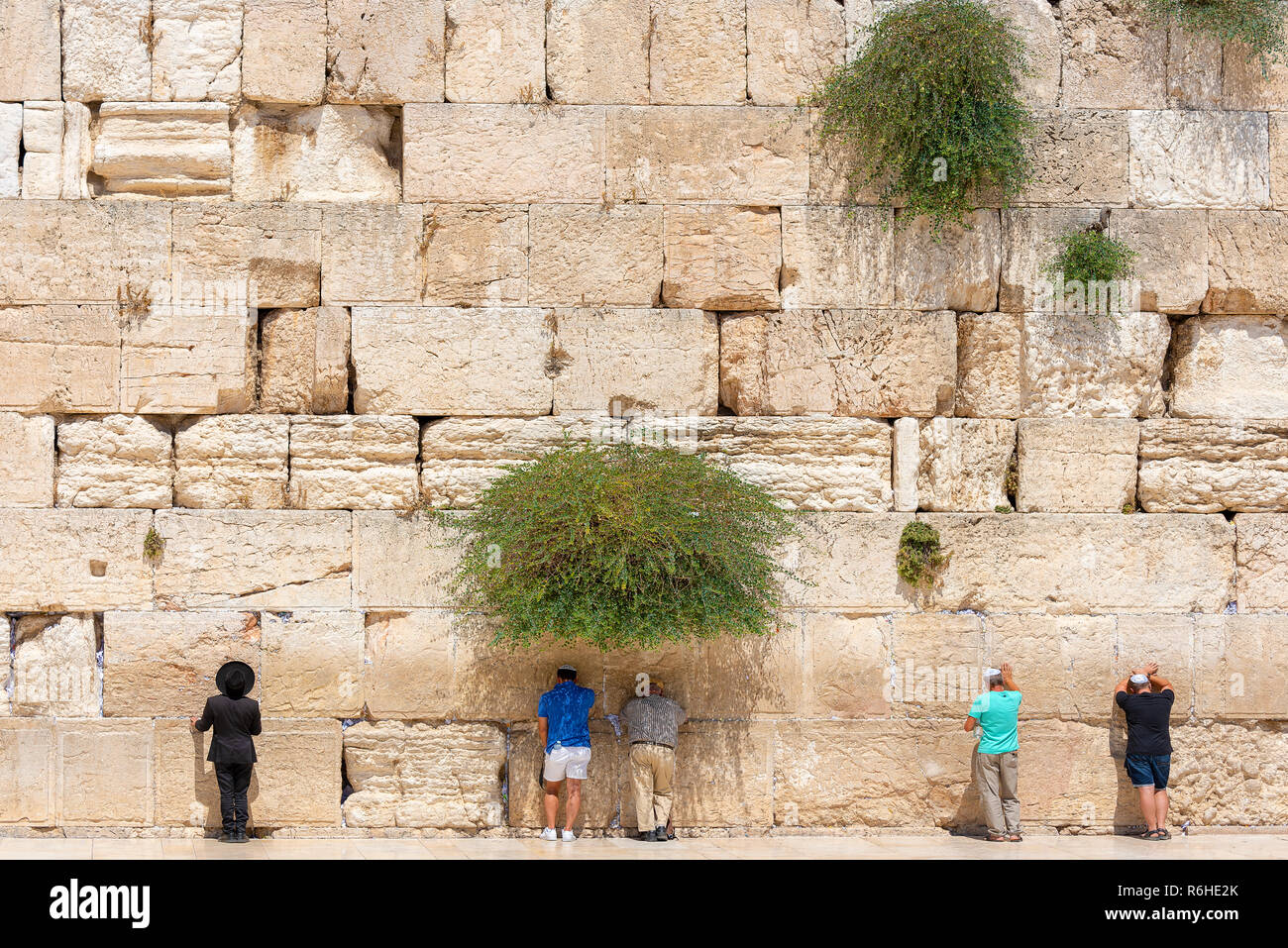 Ebrei credenti ortodossi la lettura della Torah e la preghiera rivolta verso il Muro Occidentale, noto anche come il Muro del Pianto o Kotel nella Città Vecchia di Gerusalemme, Israele. Foto Stock