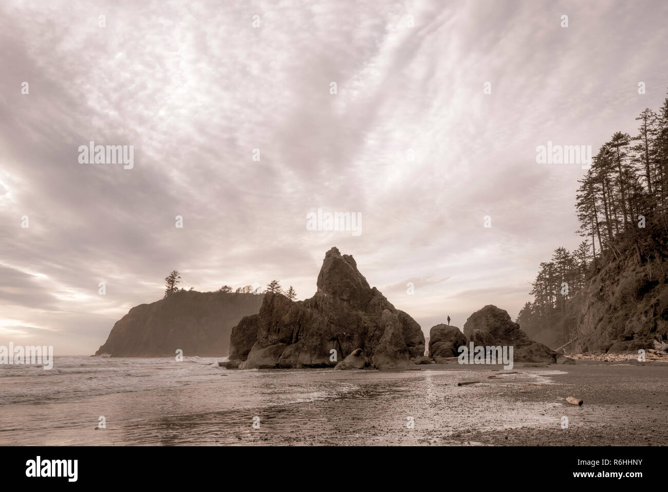 Pile di mare al Ruby Beach, Parco Nazionale di Olympic, Washington. Foto Stock