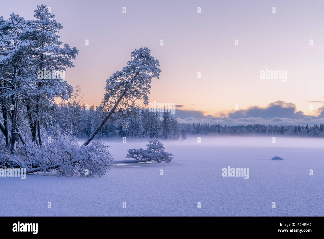 Incantevole paesaggio invernale scena di un lago innevato in inverno con neve alberi coperti Foto Stock
