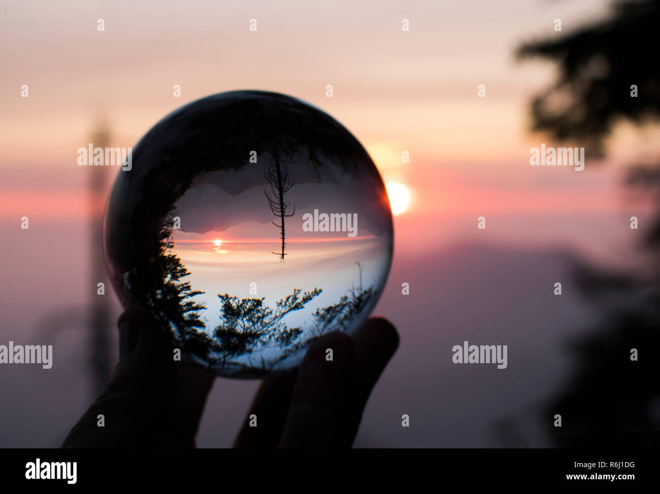 Tramonto sulla California's Sierra Nevada con Sun e creste sull orizzonte e alberi in silhouette. Catturato nel globo di vetro la riflessione. Foto Stock