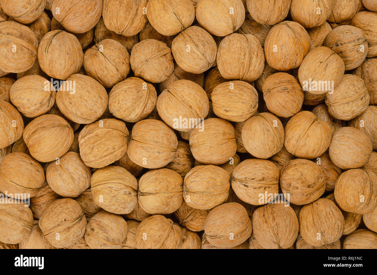 Noci sfondo. Senza guscio essiccato semi del comune albero di noce Juglans regia. Pila di frutti a guscio interi con conchiglie, utilizzato come spuntino e per la cottura. Foto Stock