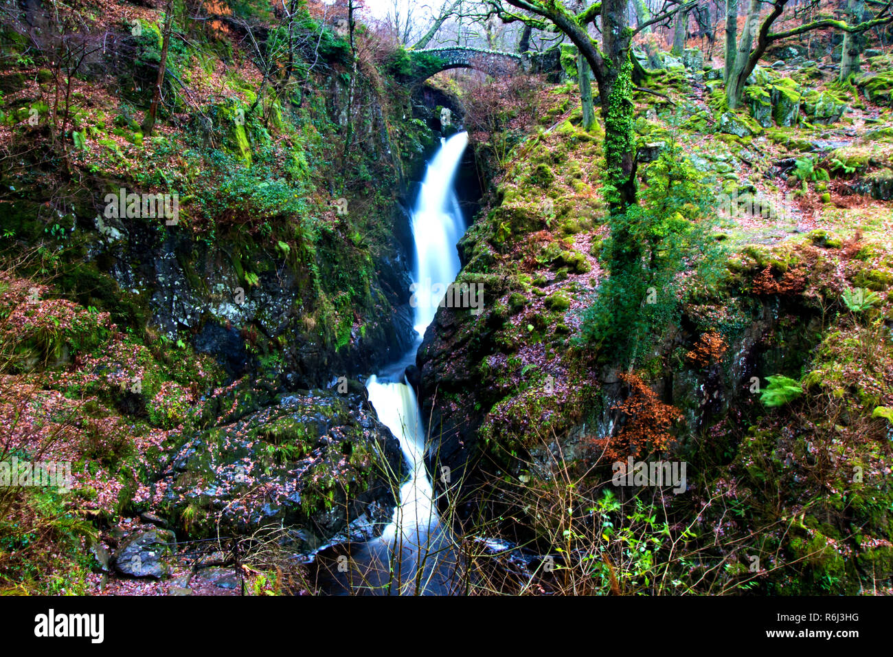 Aira Force cascata nel Lake District inglese in autunno Foto Stock