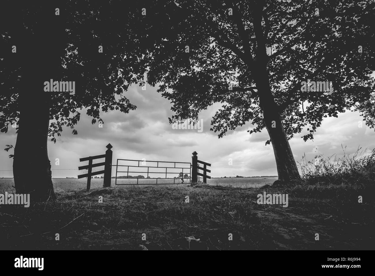 Vecchia staccionata in legno per l'ingresso di un piatto e il verde dei prati. Uno sguardo ai polder del Kamper eiland vicino a Kampen Foto Stock