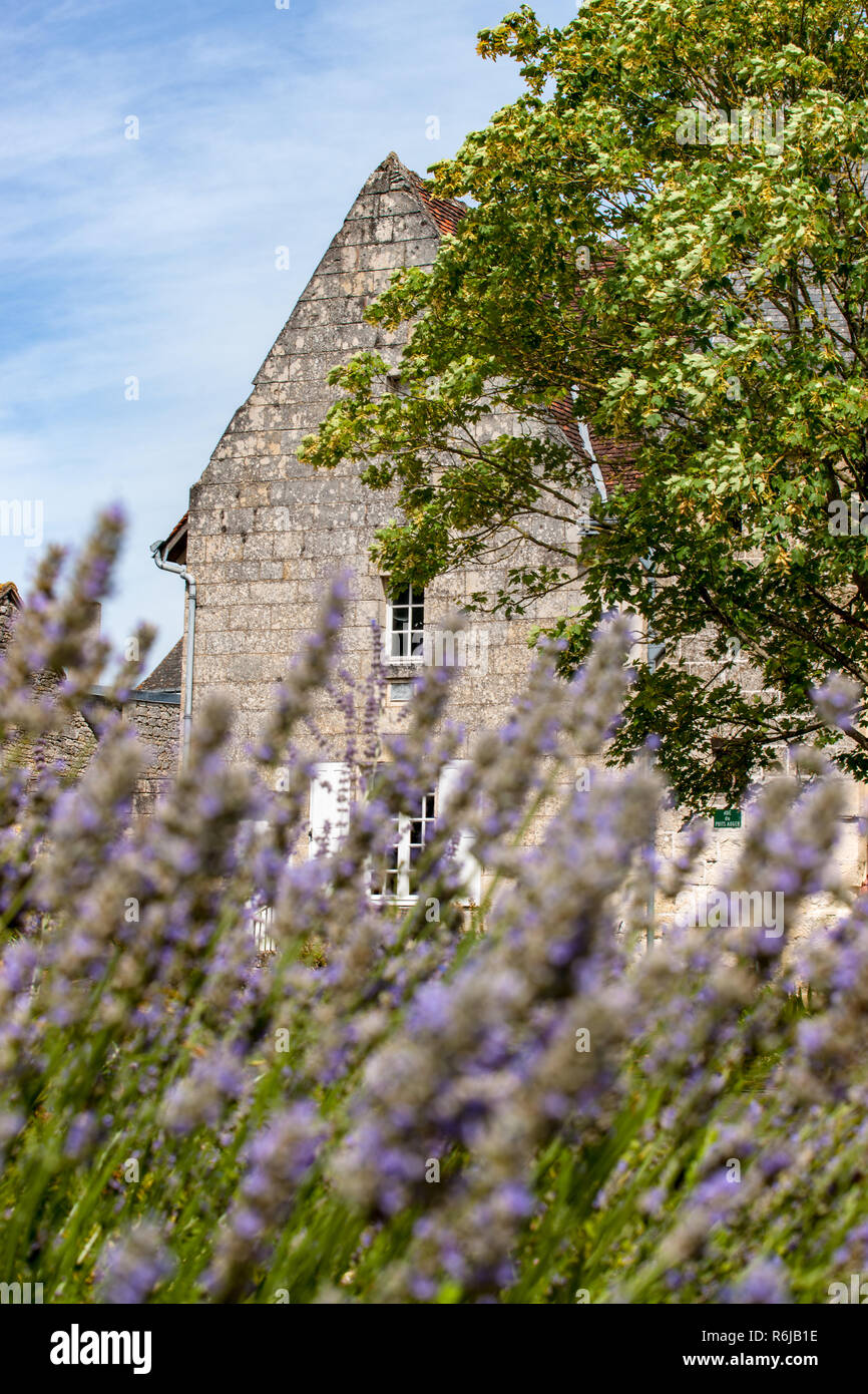 In scena a Crissay-sur-Manse, tipico villaggio francese con affascinanti e romantiche immagini e panorami, villaggio nella Valle della Loira. Foto Stock