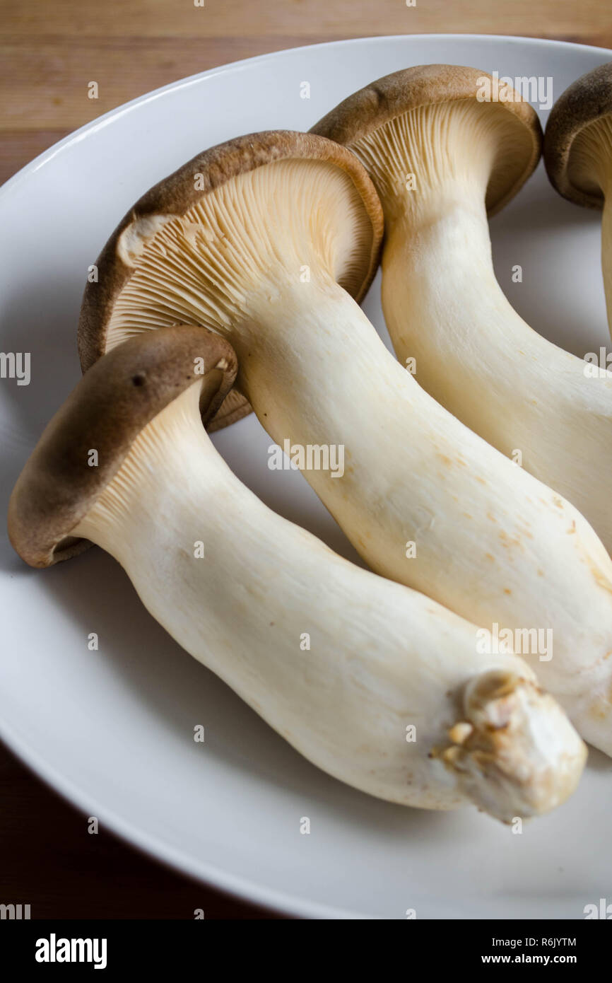 Re funghi Oyster (Pleurotus eryngii) su una piastra bianca Foto Stock