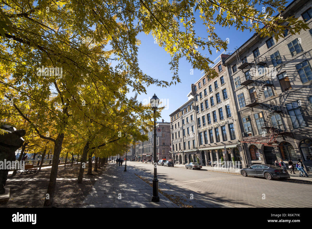 MONTREAL, Canada - 4 Novembre 2018: Vista della vecchia Montreal, sul lungomare o Vieux Montréal, Québec in autunno con le sue foglie yello alberi e pietre bu Foto Stock