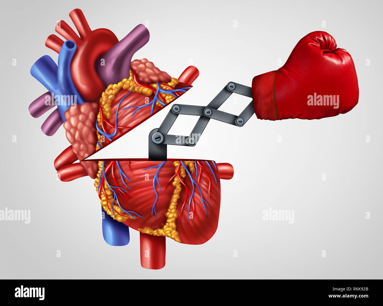 Cuore umano la forza come un organo cardiovascolare con un punzone come un simbolo di medici per la lotta contro la cardiologia malattie correlate. Foto Stock