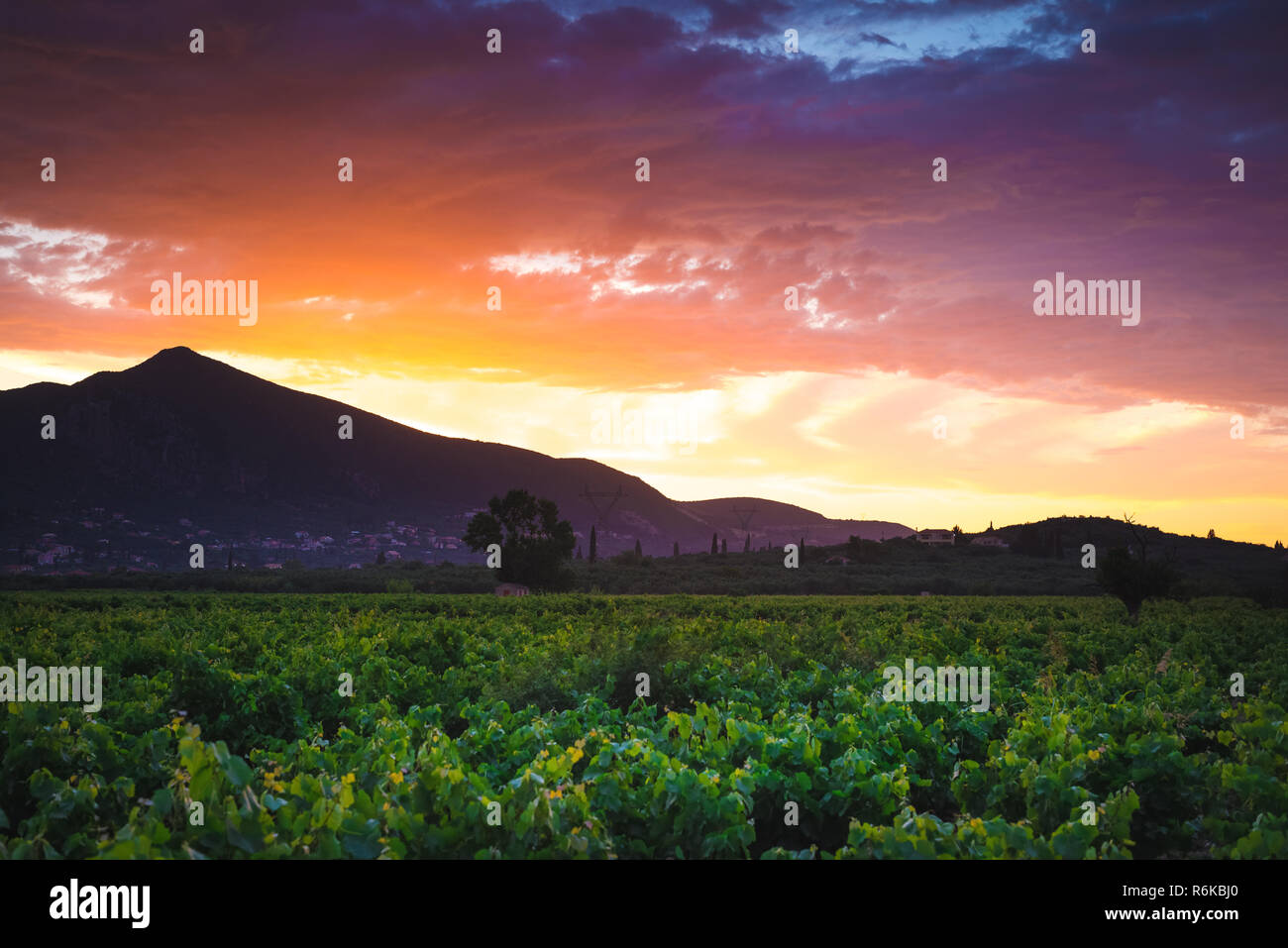 Valle di montagna con vigneto a raggi del tramonto Foto Stock