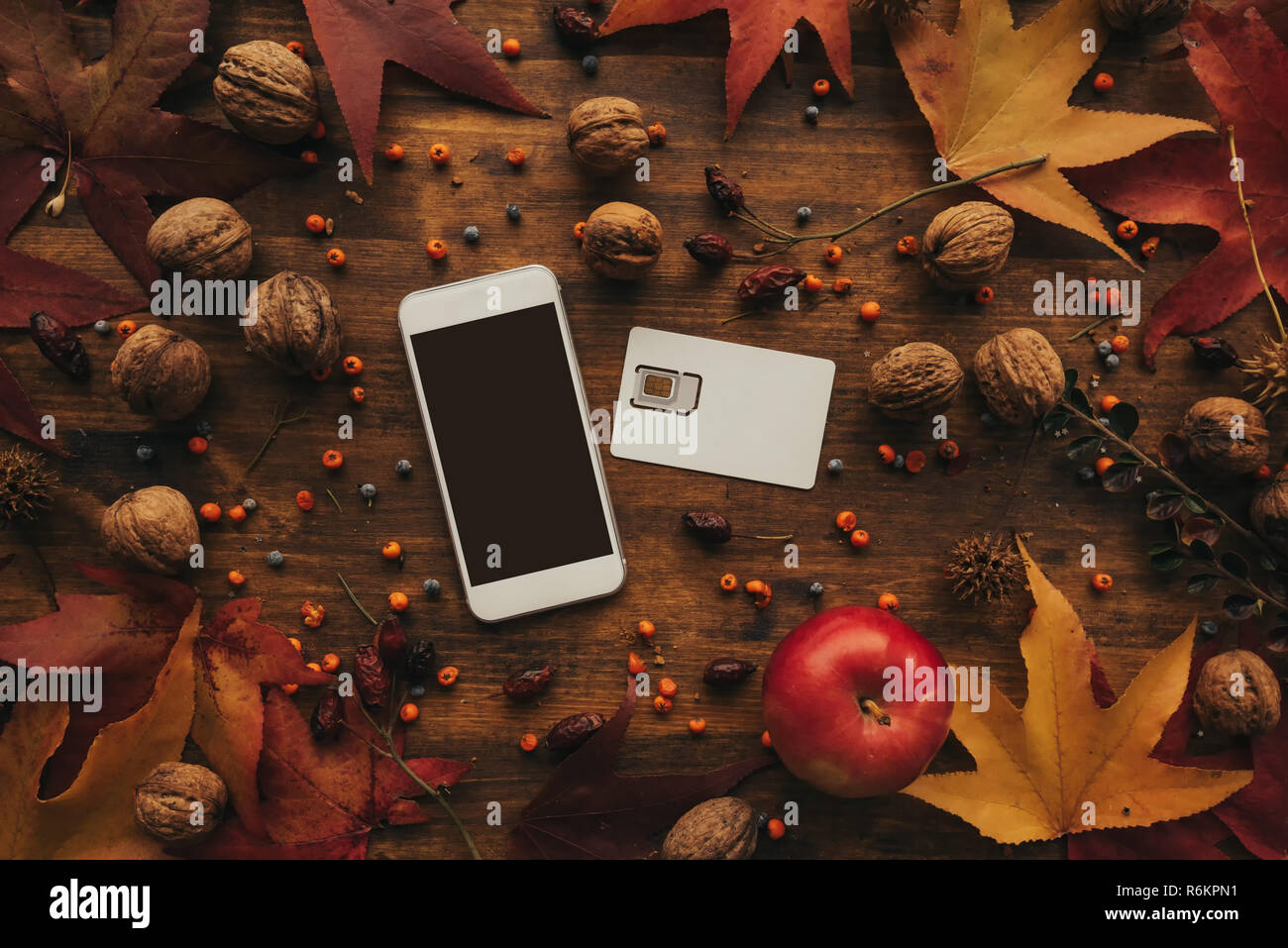 Telefono cellulare e la SIM card con disposizione d'autunno. Vista superiore piana dei laici del dispositivo smartphone con vuoto mock up schermo come spazio di copia. Foto Stock