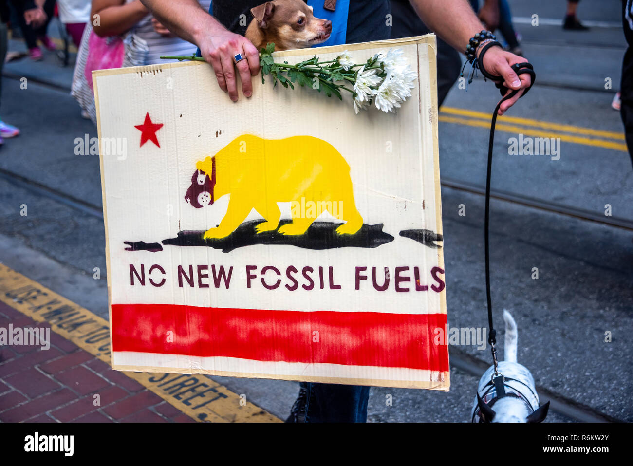 San Francisco, California, Stati Uniti d'America. 8 Settembre, 2018. Migliaia di fedeli in San Francisco in origine per il clima rally e marzo in anticipo del Global Climate Action Summit che si terrà vi Settembre 12 a 14. Un dimostrante marciando con i cani di piccola taglia porta una lettura del segno 'No nuovi combustibili fossili' con un'immagine della bandiera di Stato di California's orso che indossa una maschera a gas. Foto Stock