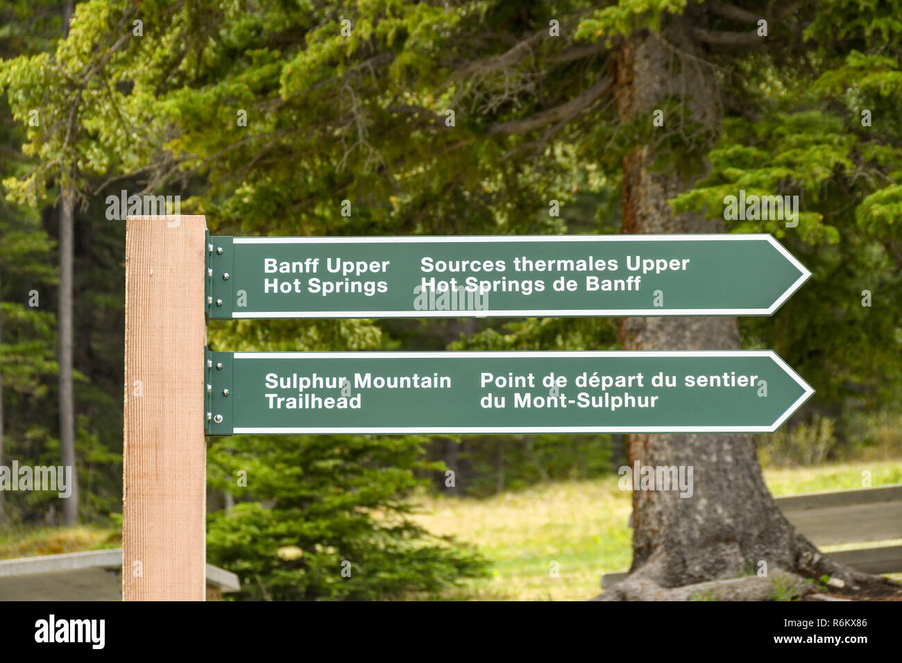 BANFF, Alberta, Canada - Maggio 2018: informazioni turistiche segno che indica la via verso le attrazioni locali a Banff. Foto Stock