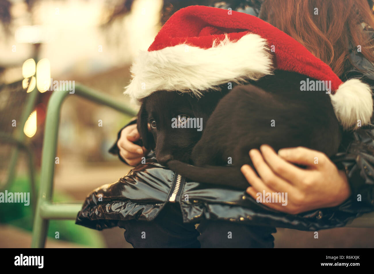 Bambino tiene un nero labrador cucciolo indossando un Santa Claus costume Foto Stock