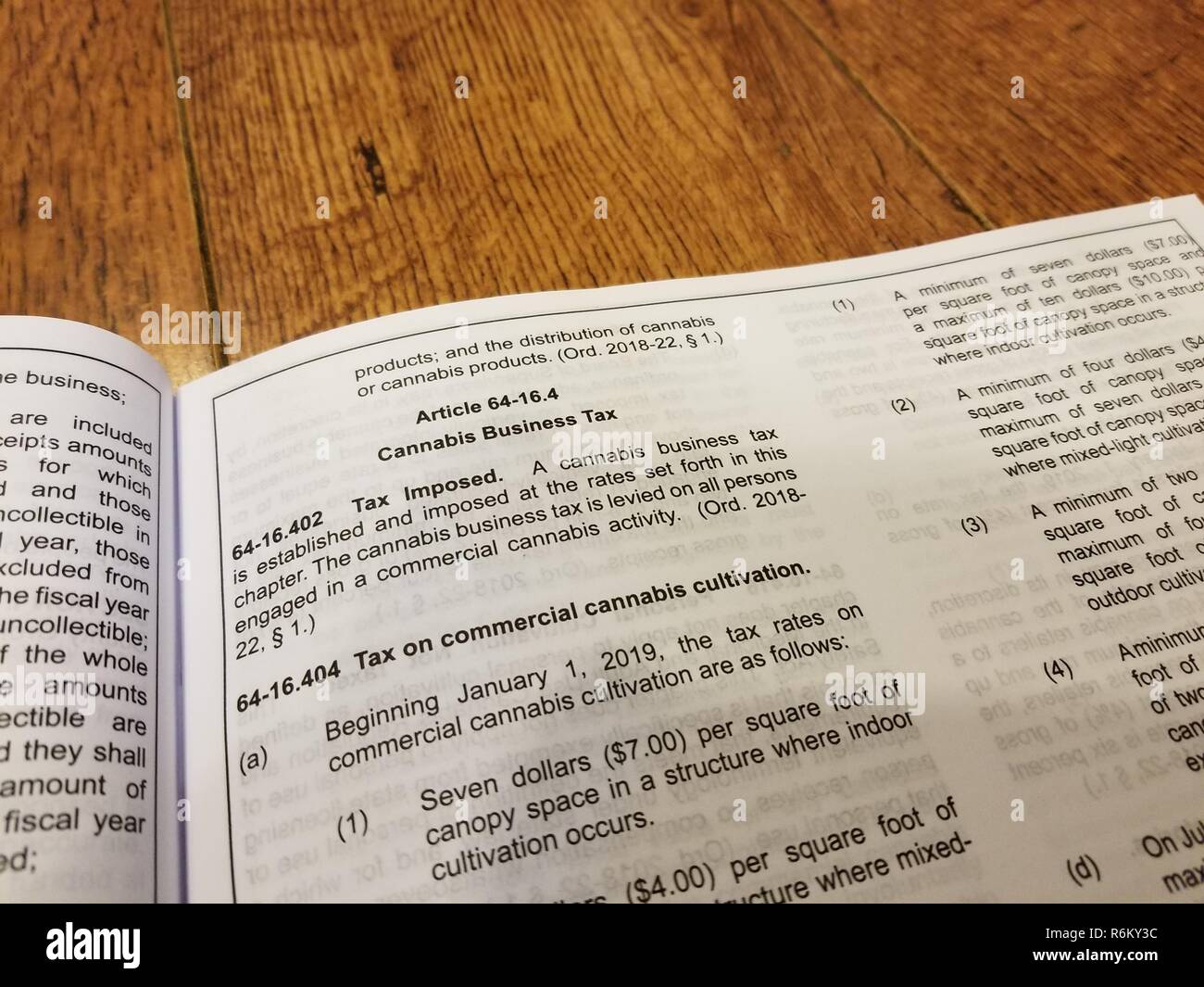 Close-up di scrutinio politico opuscolo con sezione che descrive una proposta di tassa di cannabis, in seguito alla legalizzazione della cannabis per usi ricreativi in California, San Ramon, California, 4 ottobre 2018. () Foto Stock
