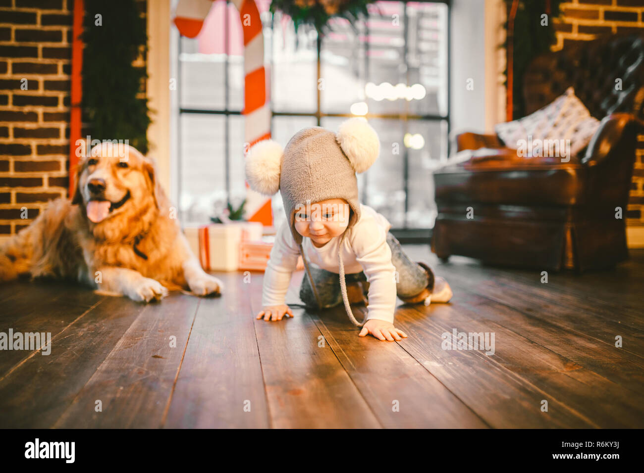 Amicizia uomo bambino e cane pet. Tema Natale Capodanno Vacanze invernali. Bimbo gattona impara a piedi con pavimento in legno e decorata interno di casa e migliore amico cane di razza Labrador golden retriever Foto Stock