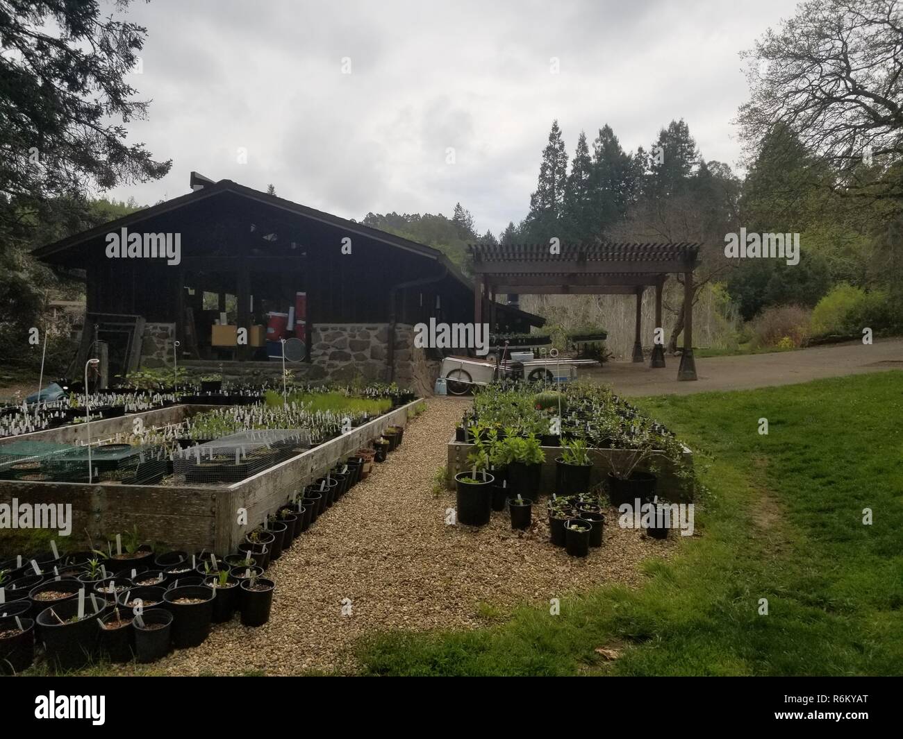 Giardino botanico in East Bay Regional Park parco pubblico di Berkeley, California, 11 aprile 2018. () Foto Stock