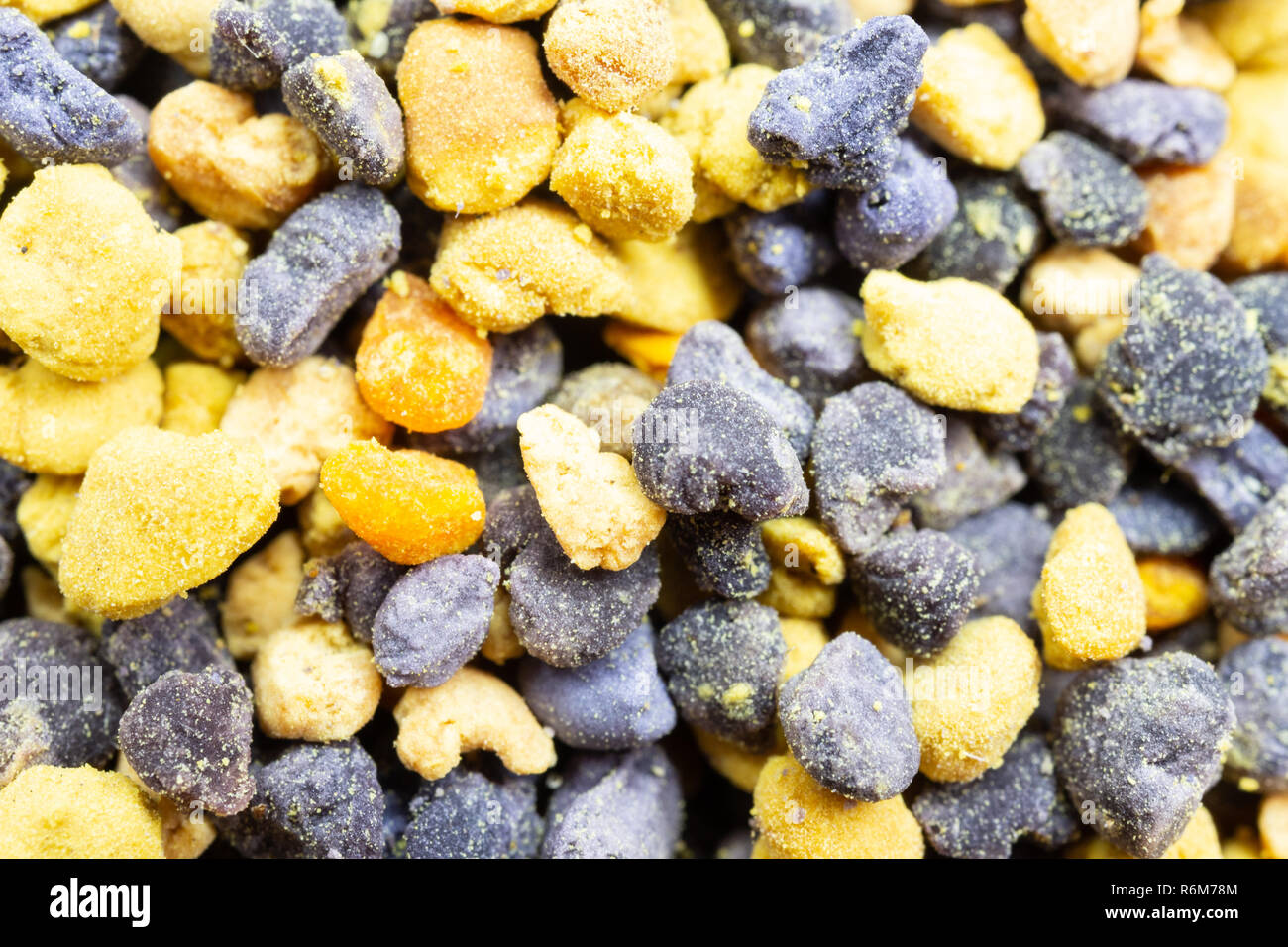 Il giallo e il nero polline di api macro Foto Stock