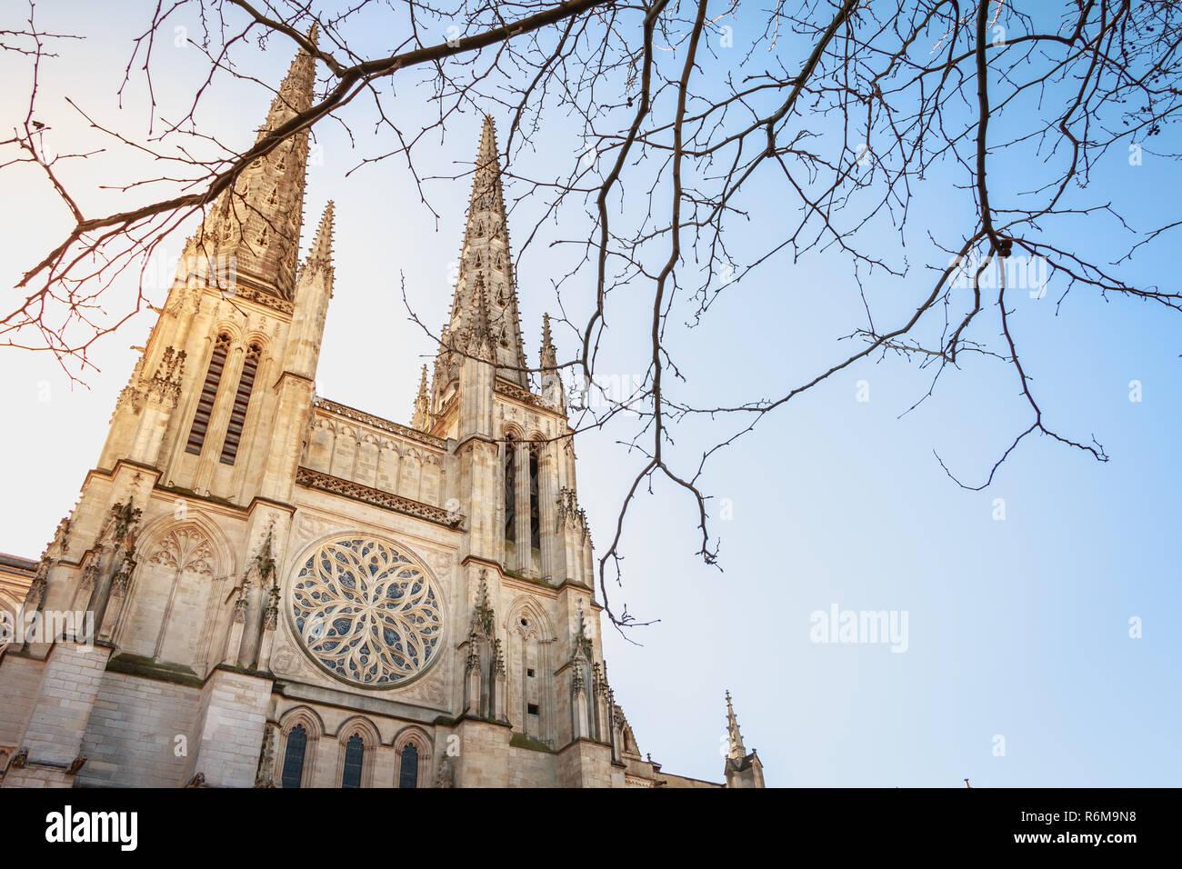 Dettagli architettonici della cattedrale Saint Andre de Bordeaux Foto Stock