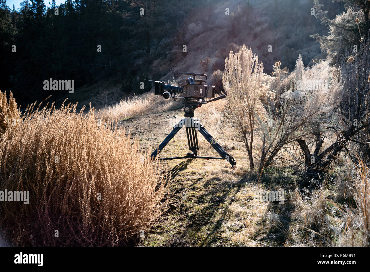 Attrezzature di pellicola, Arri Amira fotocamera impostato sulla posizione per un commerciale. Foto Stock