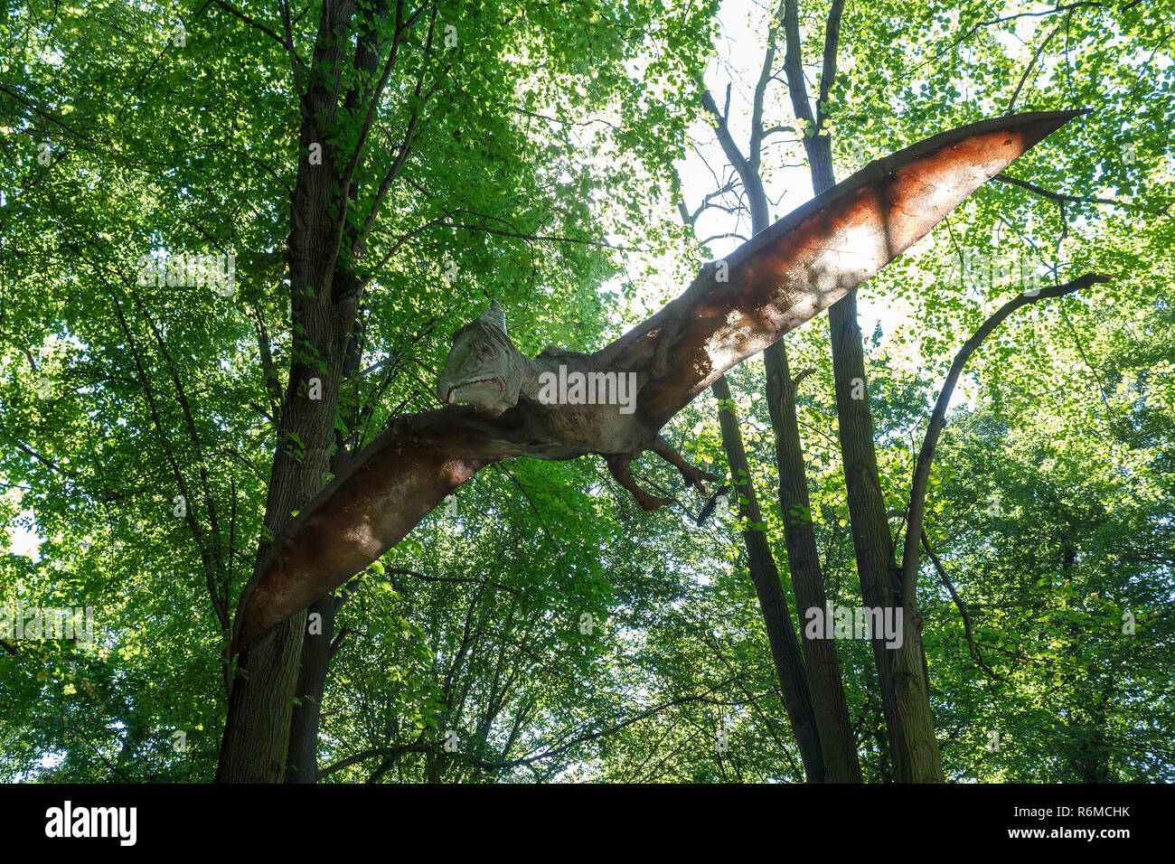 Flying preistorici Pteranodon dinosauri in natura Foto Stock