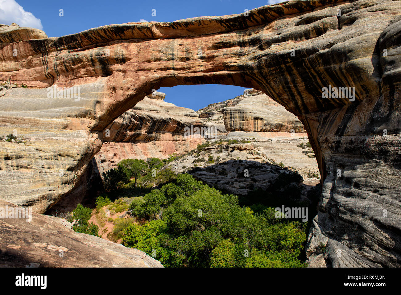 Sipapu bridge / ponte sipapu nei ponti naturali monumento nazionale,utah,usa Foto Stock