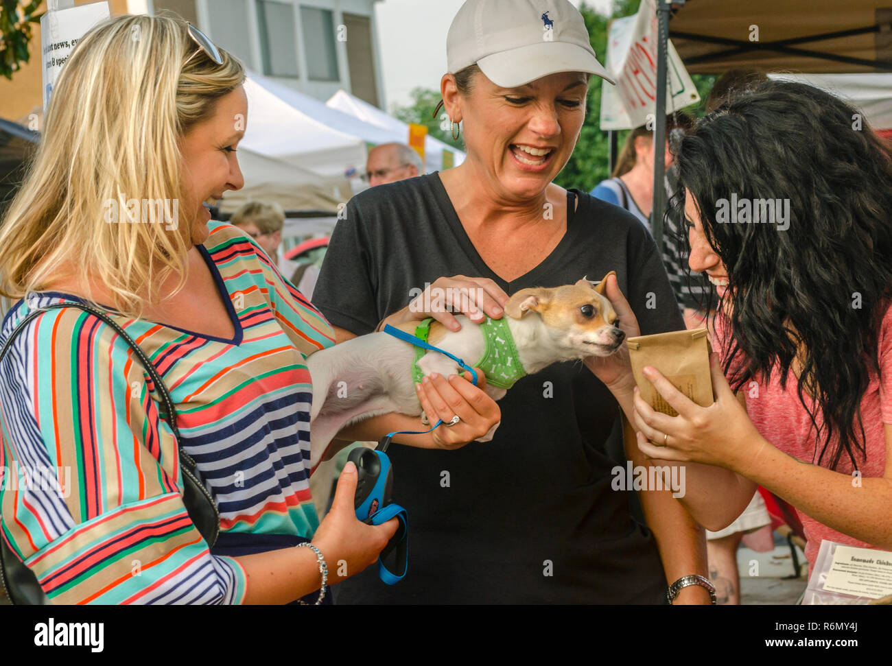 Christine Palmer mantiene la sua chihuahua, Carlie, come Kristin Judsky consente Carlie sniff un sacchetto della Turchia e la pancetta cane biscotti in Tucker, Georgia. Foto Stock
