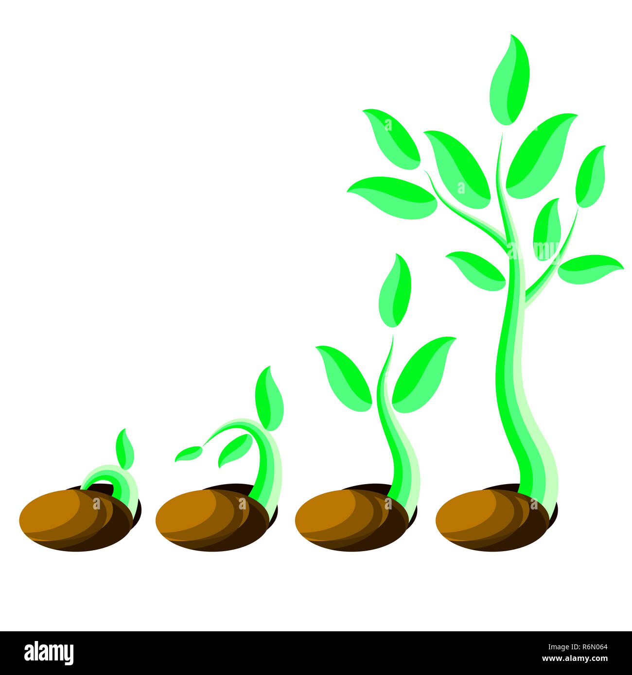 Le fasi per la crescita di piante. Piccolo germoglio verde piantina di germinare da seme Foto Stock