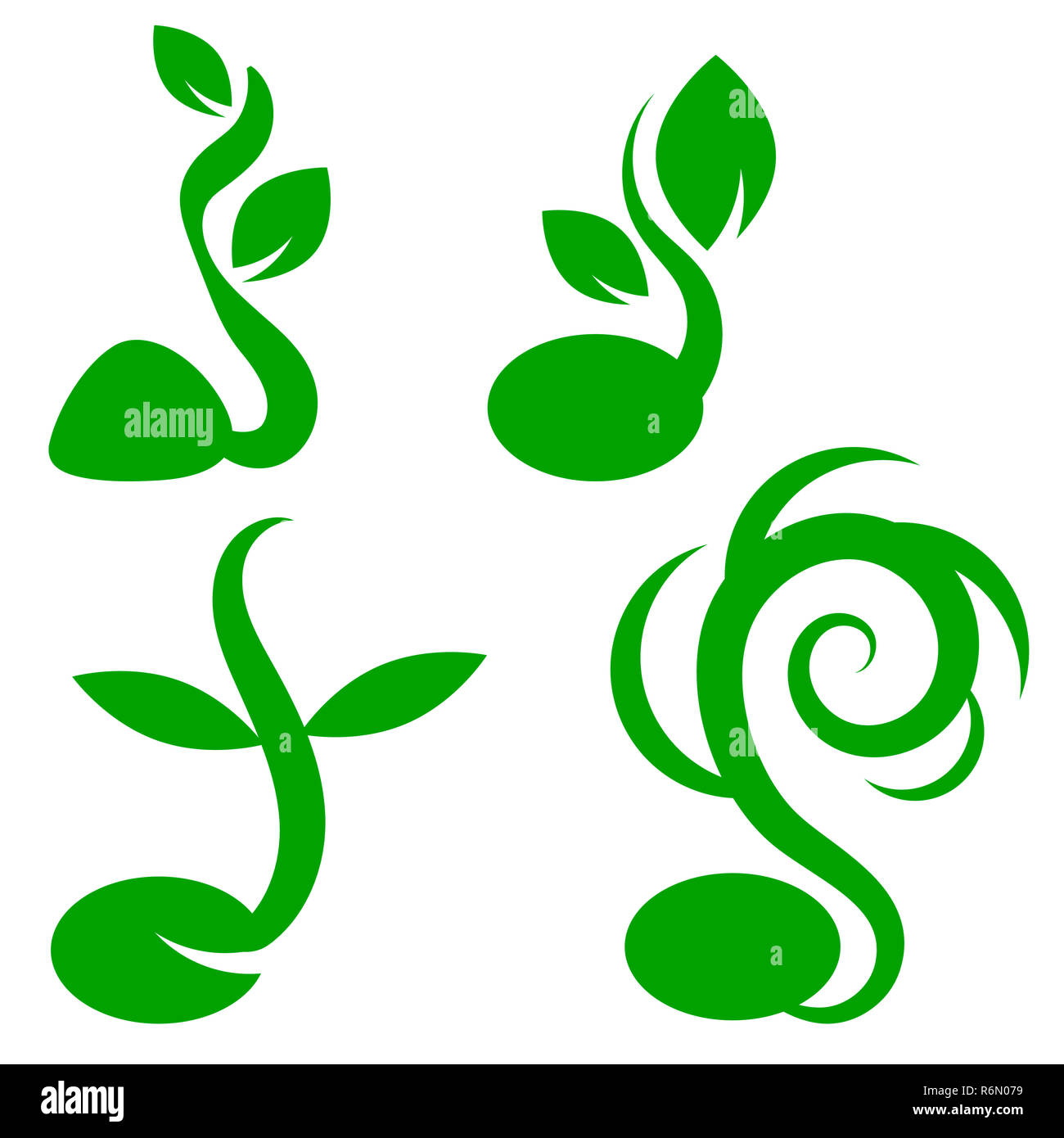 Le fasi per la crescita di piante. Piccolo germoglio verde piantina di germinare da seme Foto Stock