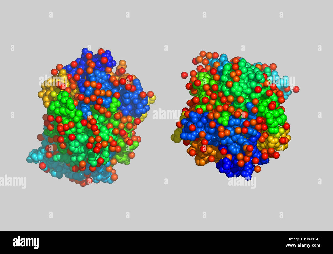 Proteina modello molecolare Foto Stock