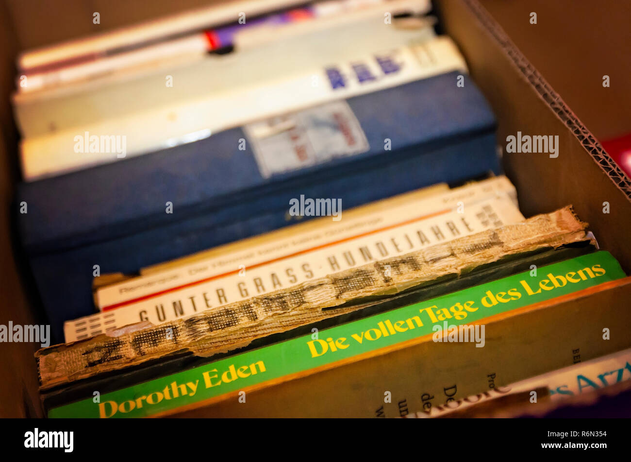 Lingua tedesca i libri sono impilati in una scatola di cartone al xxxiv Mobile annuale Festival Internazionale, nov. 17, 2018 in Mobile, Alabama. Foto Stock