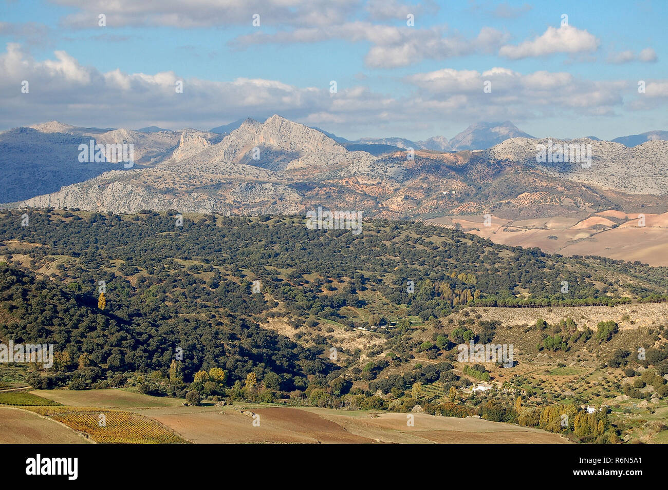 Vista da Blas Infante passerella - Ronda Foto Stock