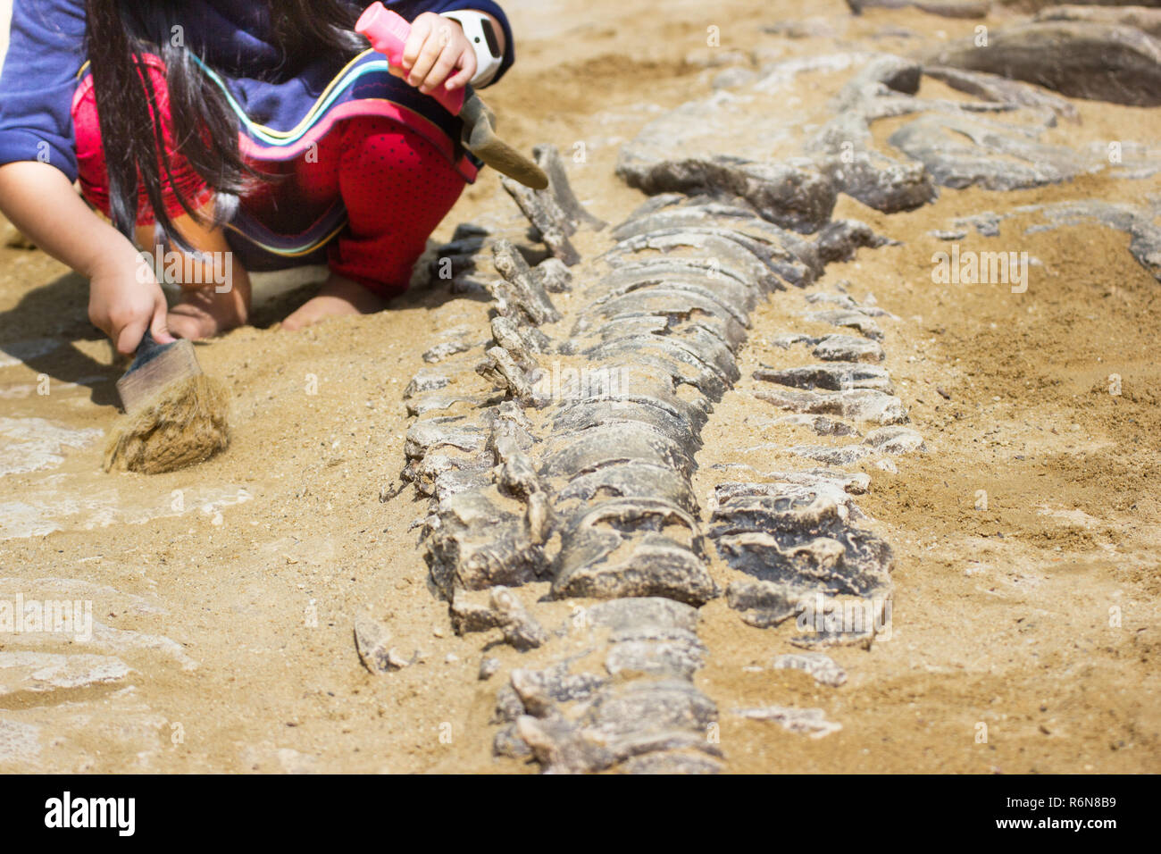 I bambini sono di apprendimento resti di dinosauri, scavo di fossili di dinosauro simulazione nel parco. Foto Stock