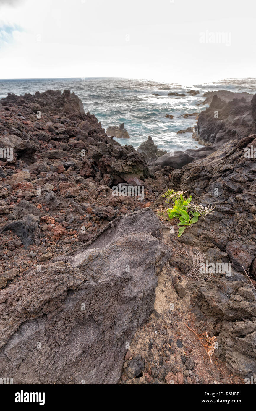 Visualizzazione verticale di costa rocciosa vicino alla piscina naturale da Ponta da Ferraria. Foto Stock