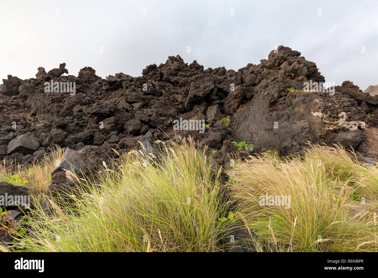 Arido erba cresce tra le rocce vulcaniche vicino alla piscina naturale da Ponta da Ferraria. Foto Stock