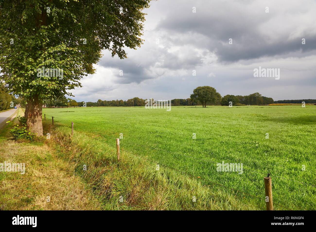 Paesaggio Agircutural su una pianura Foto Stock