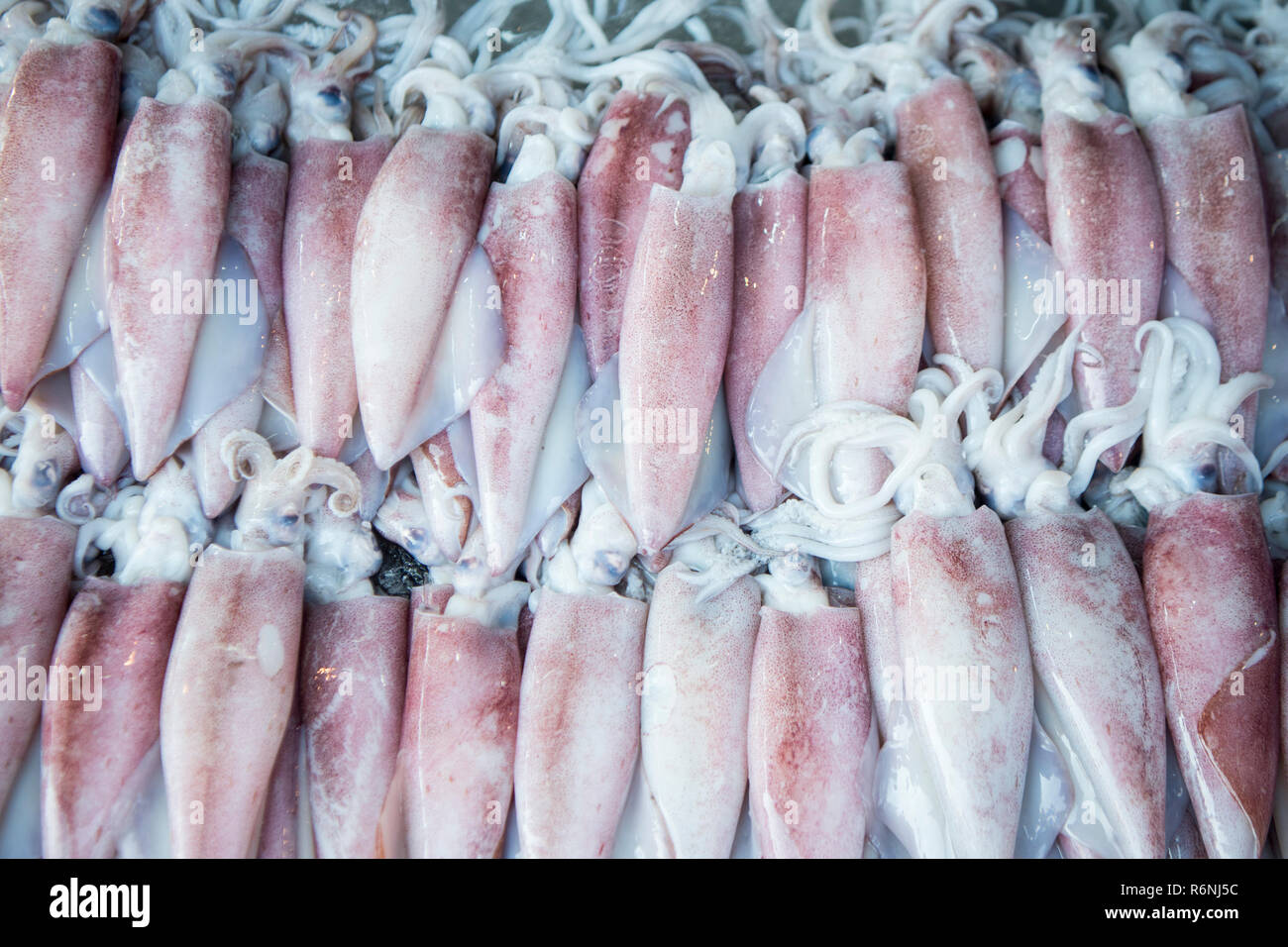 Tailandia CHONBURI ANG SILA mercato del pesce Foto Stock