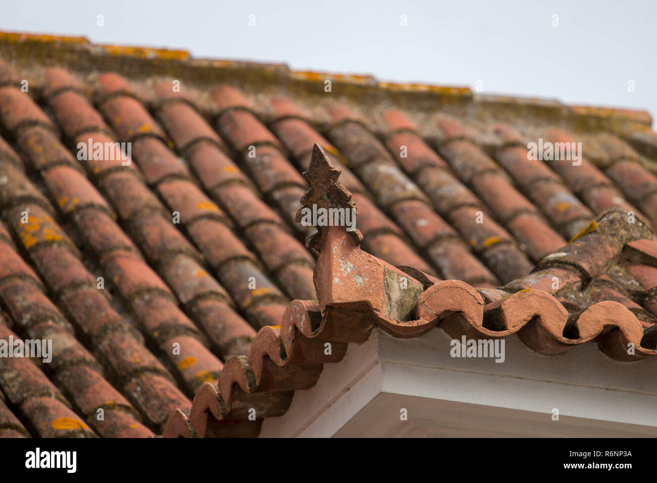 Rossa Portoghese tetto di tegole Foto Stock