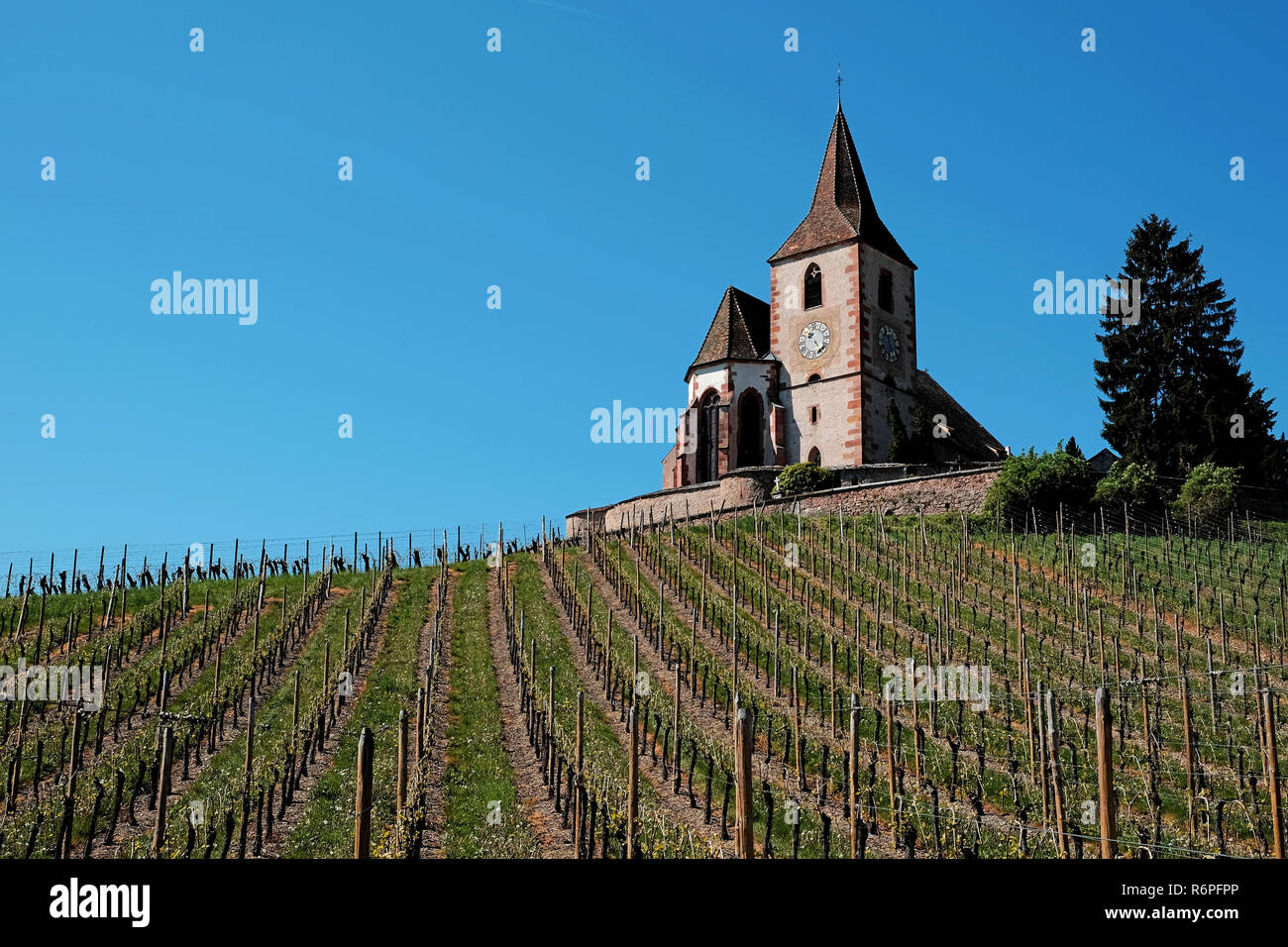 Romanica chiesa fortificata in hunawihr,l'Alsazia, Francia Foto Stock