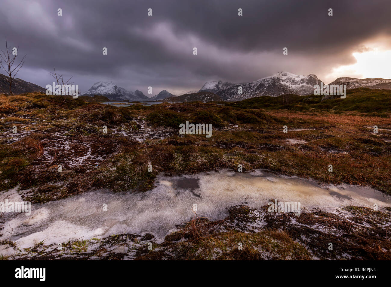 Viaggio nelle Isole Lofoten in Norvegia Foto Stock