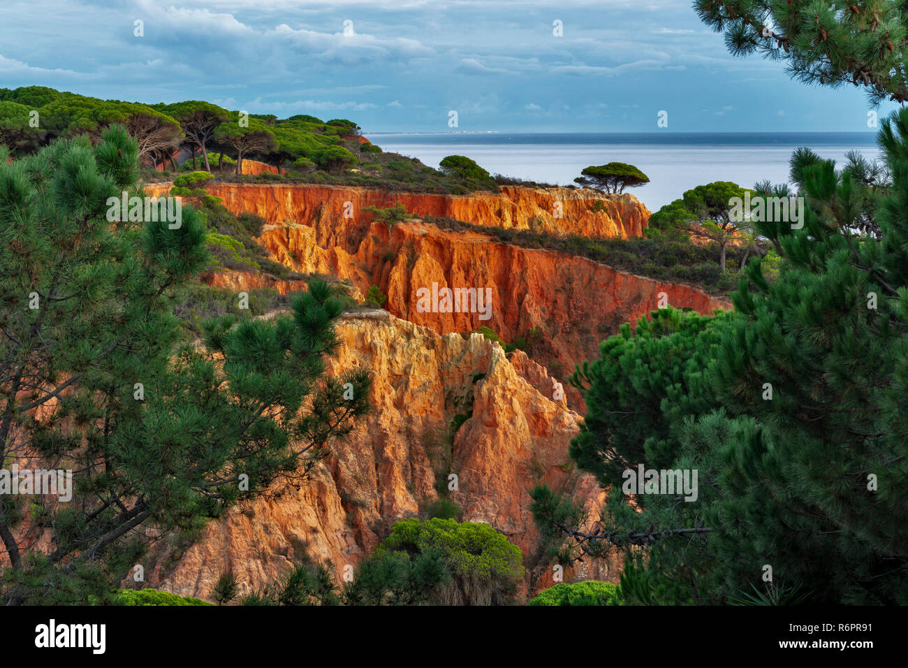 Rosso di rocce di arenaria e pini, ripida costa, Praia da Falesia, Ohlhos de Agua, Albufeira Algarve Foto Stock