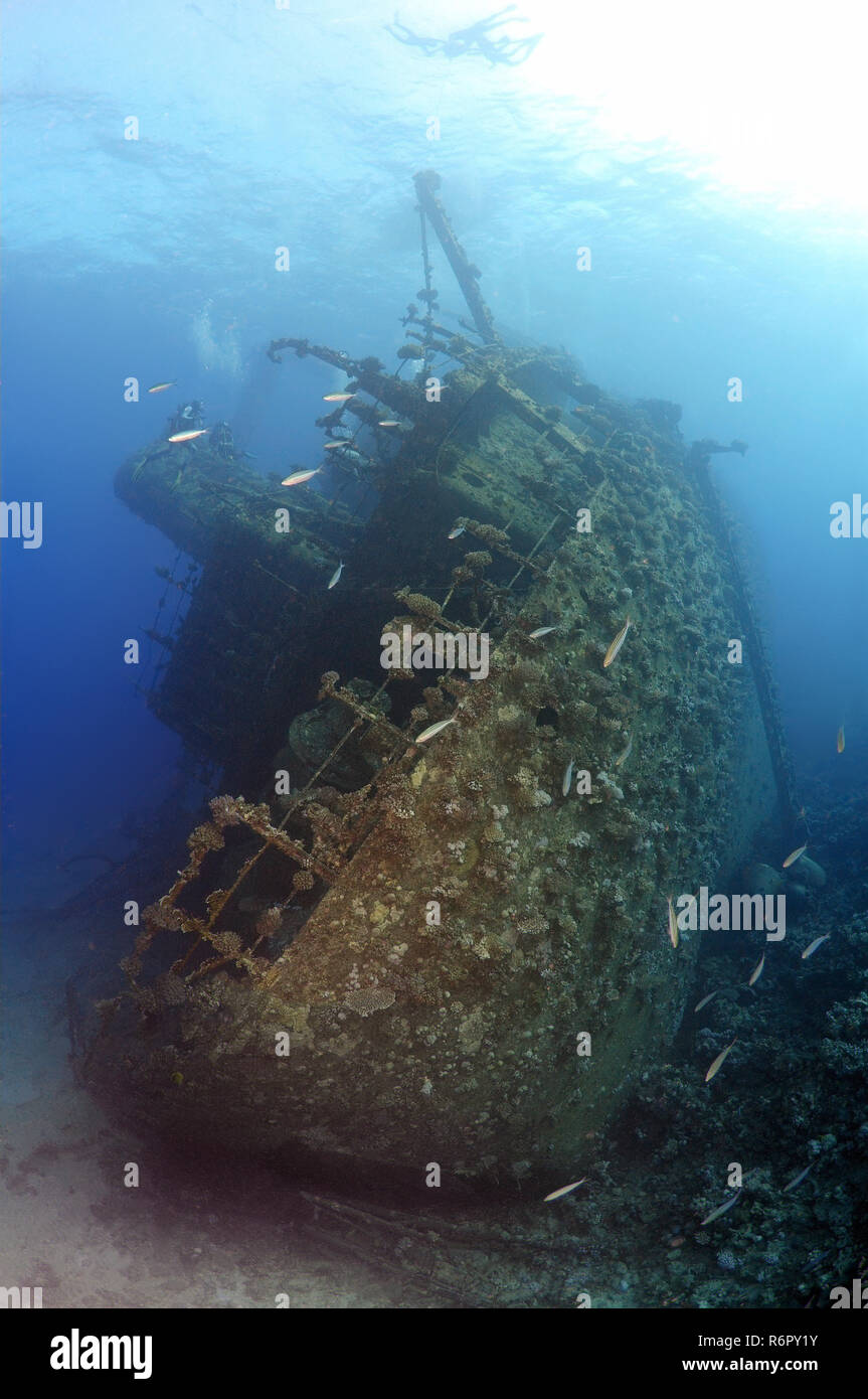 Gianis wreckship D. Mare Rosso, Sharm El Sheikh, Egitto Foto Stock