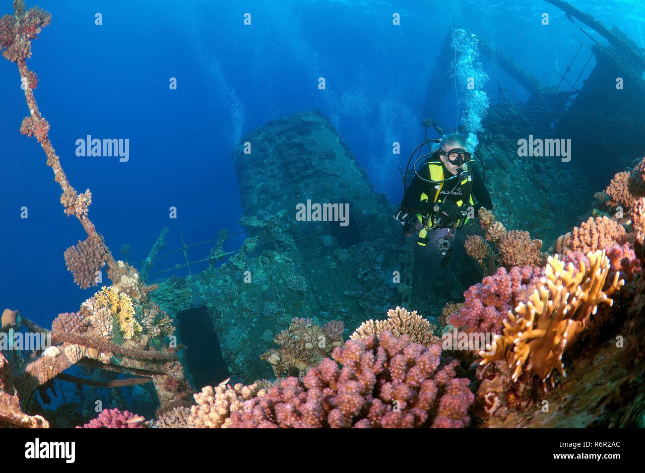 Sommozzatore guardando wreckship Gianis D. Mare Rosso, Sharm El Sheikh, Egitto Foto Stock