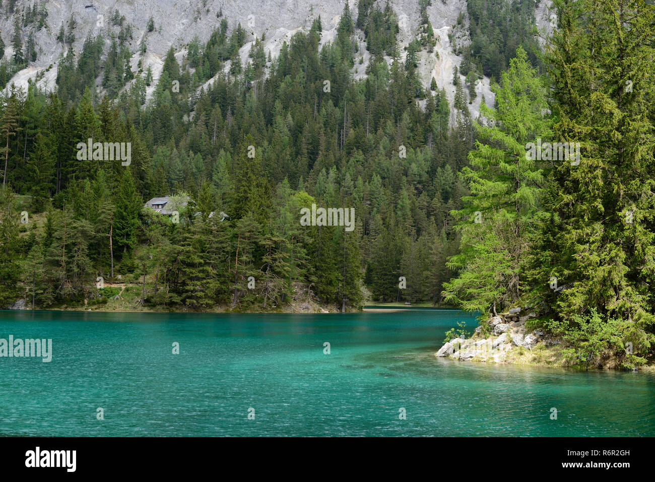 Verde lago, lago di montagna, Tragoss-Sankt Katharein, Stiria, Austria Foto Stock