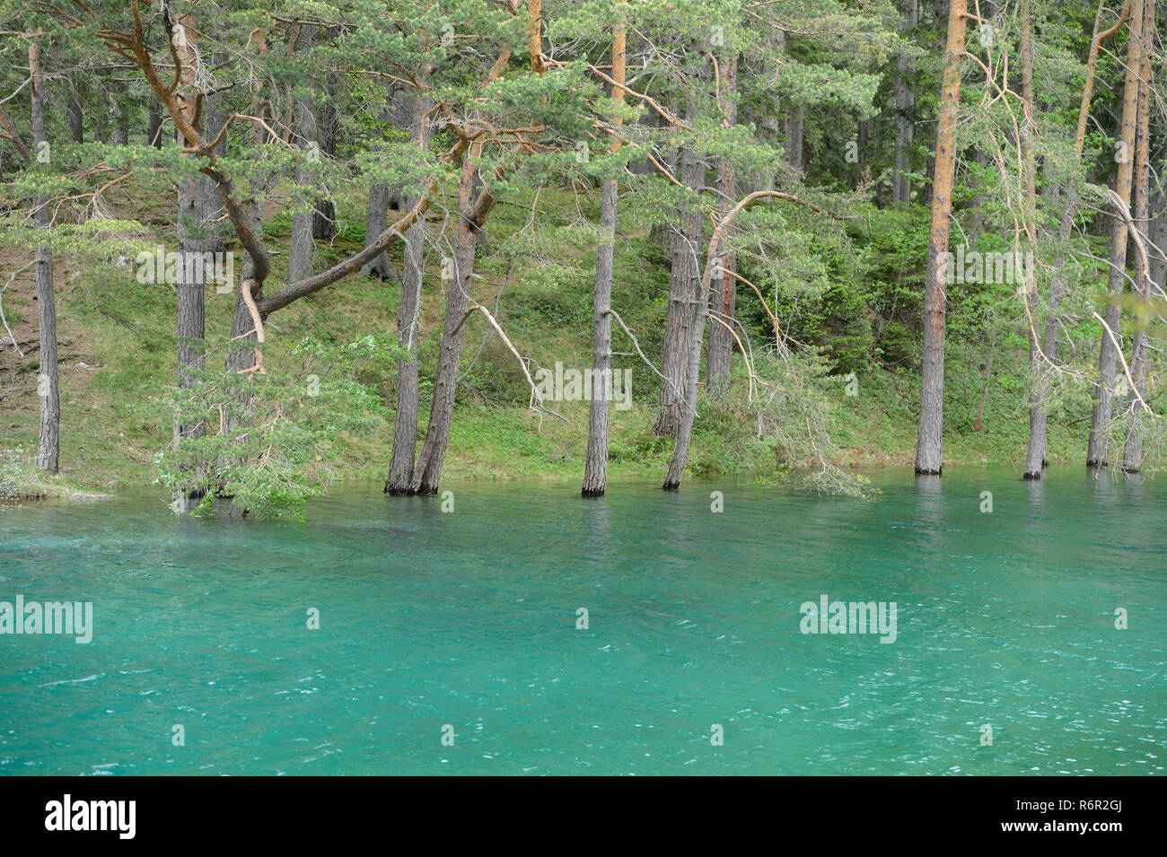 Verde lago, lago di montagna, Tragoss-Sankt Katharein, Stiria, Austria Foto Stock