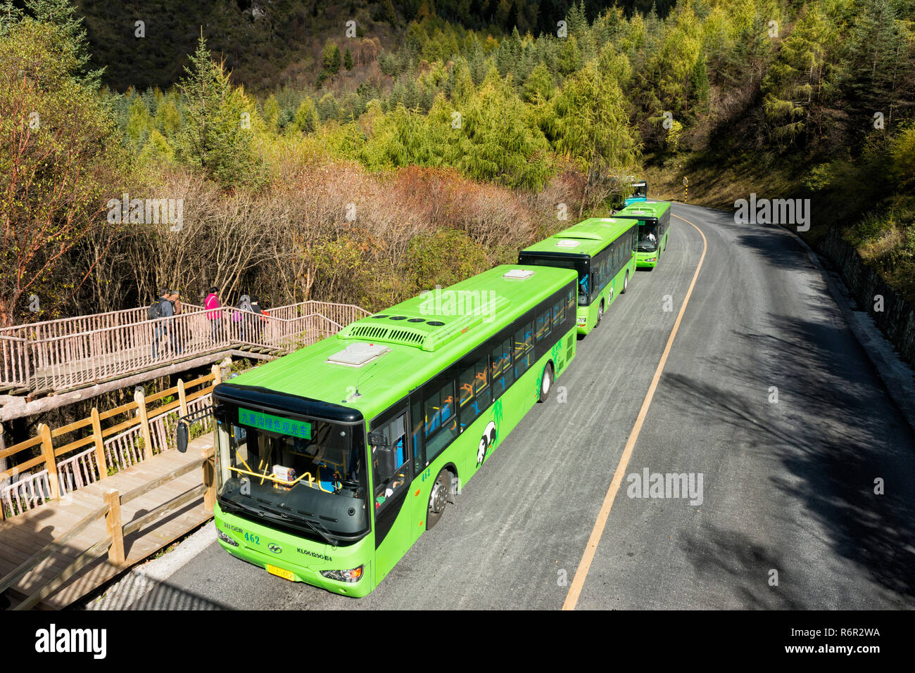 Numerosi autobus in Jiuzhaigou Parco Nazionale, nella provincia di Sichuan, in Cina, Patrimonio Mondiale dell Unesco Foto Stock